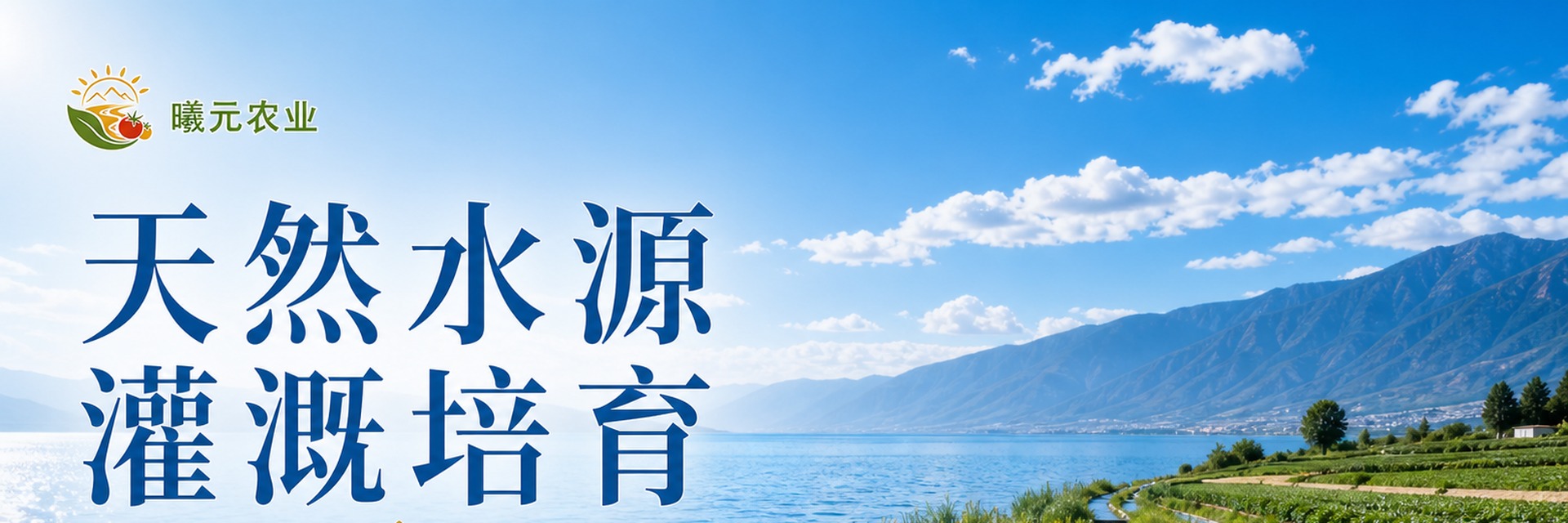 程海湿地景观