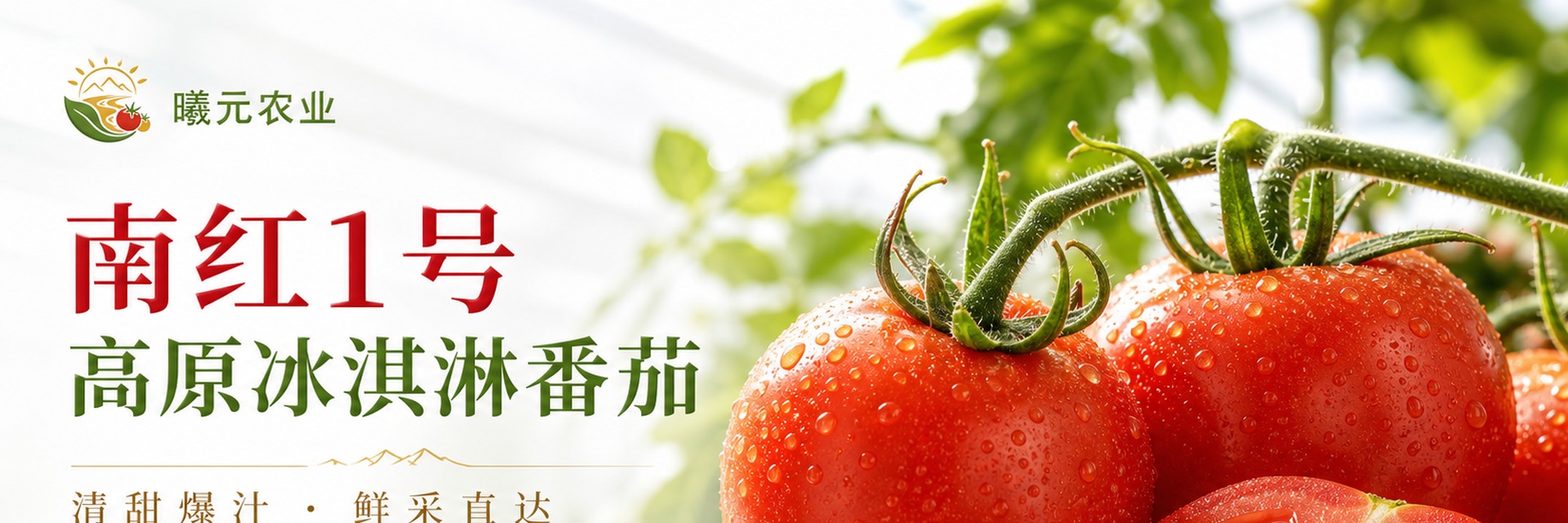 冰淇淋番茄鲜果特写